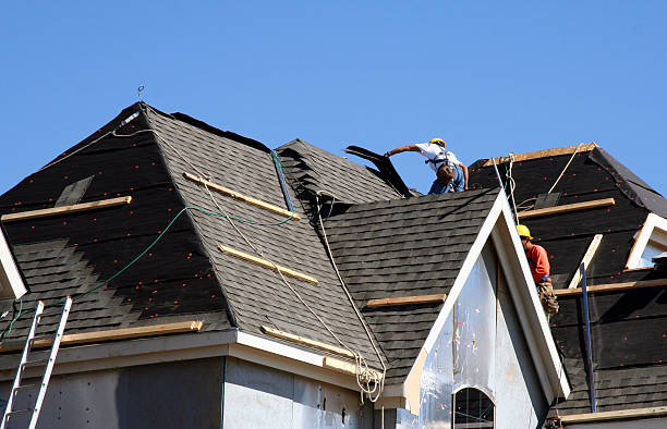 Best Gutter Installation and Roofing  in Darlington, WI