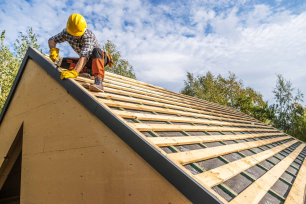 Roof Gutter Cleaning in Darlington, WI