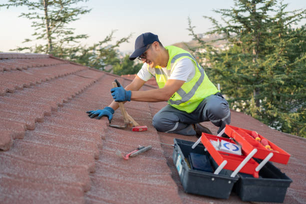 Best Residential Roofing Contractor  in Darlington, WI